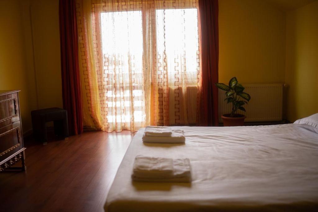 Homestay Casa Ramona Turda